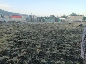Furnished 5bdrm House in Dukam, East Shewa for sale