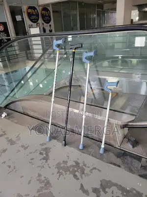 Cane Walking Stick – Stability and Support When You Need It Most