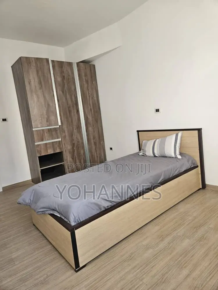 Furnished 3bdrm Apartment in Bole for rent