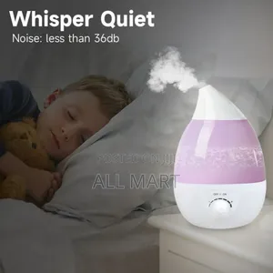 2.6 Liter Ultrasound Atomization Cool Humidifier