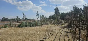 10bdrm Farm House in Food Processing, North Shewa for sale