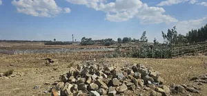 10bdrm Farm House in Food Processing, North Shewa for sale