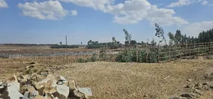 10bdrm Farm House in Food Processing, North Shewa for sale