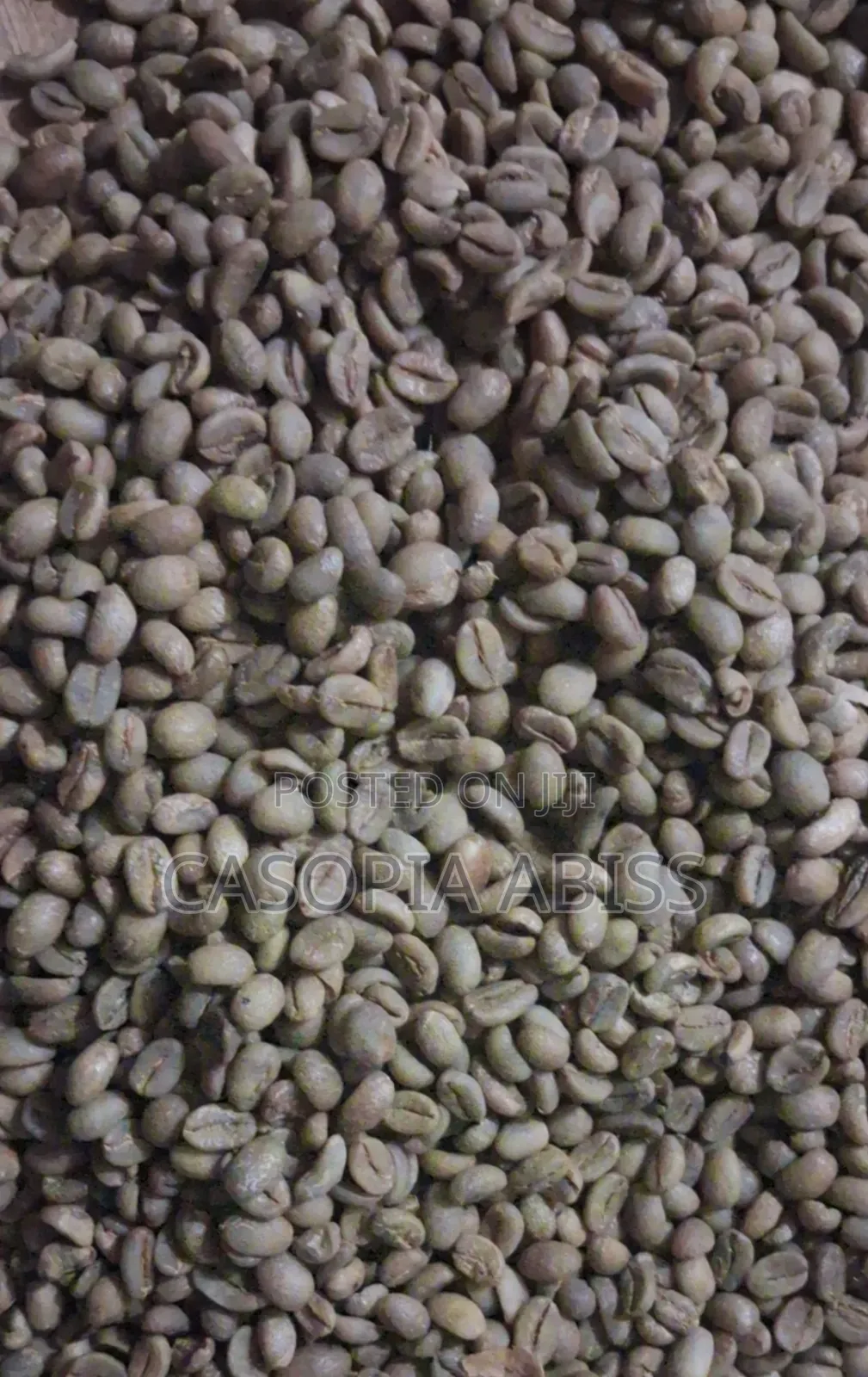 Coffe Bean