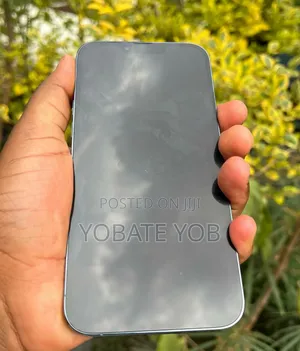 Apple iPhone 13 Pro Max 512 GB Blue