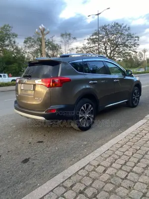 Toyota RAV4 2015 Brown