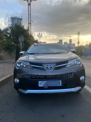Toyota RAV4 2015 Brown