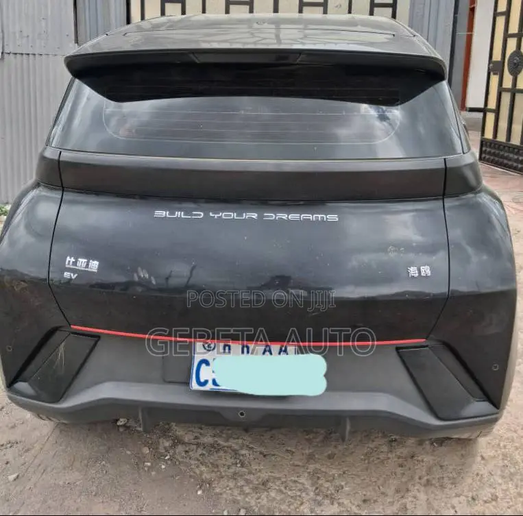 BYD Seagull 2024