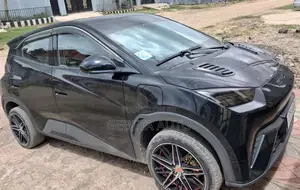 BYD Seagull 2024