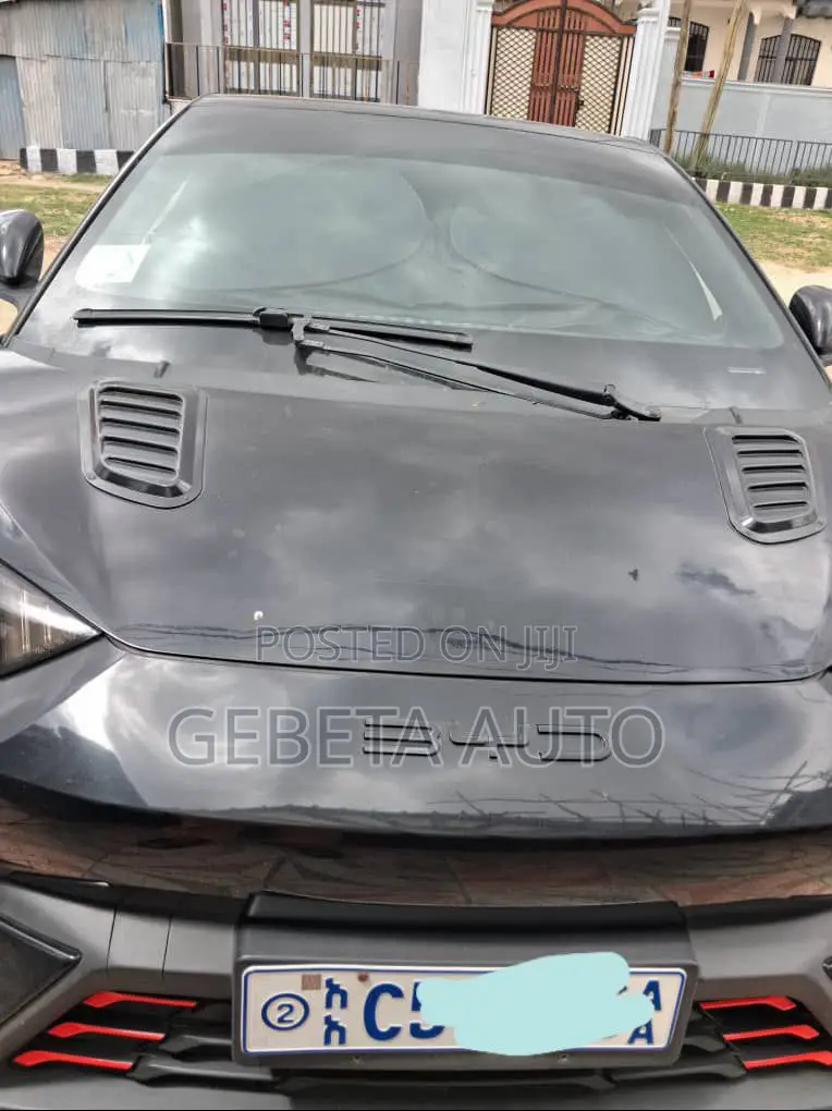 BYD Seagull 2024