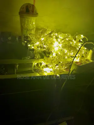Hanging Light