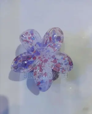 Women's Claw Clips