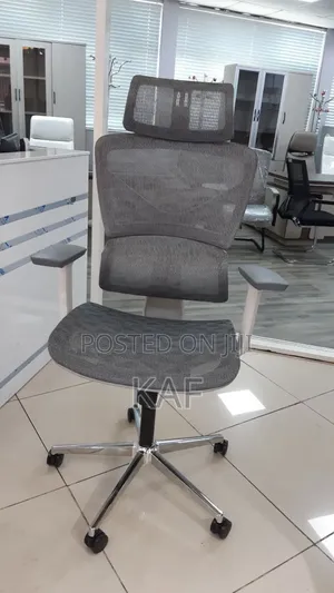 Ergonomic Chair