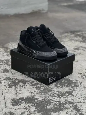 Jordan 3 Black Cat