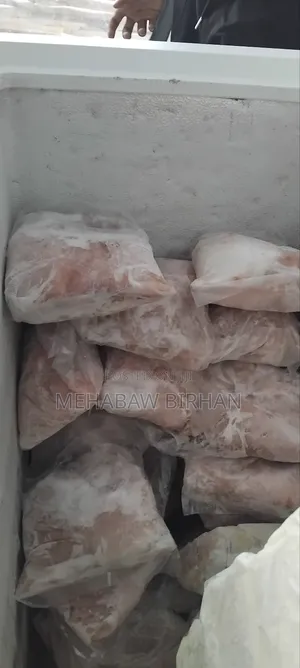 Fresh Fish