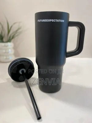 Double Layer Stainless Still Isolated Tumblers With Straw (Travel Cup)