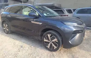 BYD Tang EV 2025 Gray