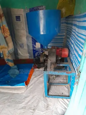 Salt Grinding Machine