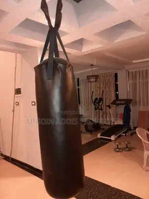 Furnished 4bdrm House in Gullele for rent