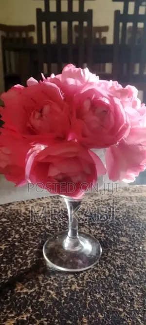 Eleta Craft