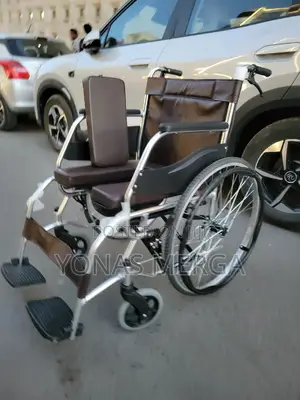 Toilet Wheelchair黛風width Between 4 Wheels – 64cm