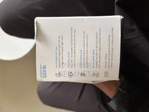 Blink Mini