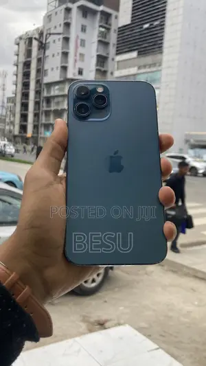 Apple iPhone 12 Pro Max 256 GB Blue