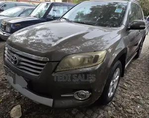 Toyota RAV4 2012 Brown