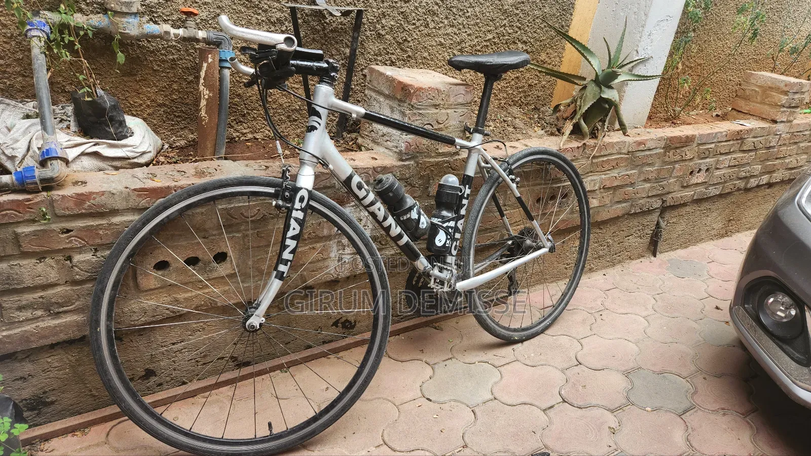 Bicycle Giant From Embassy