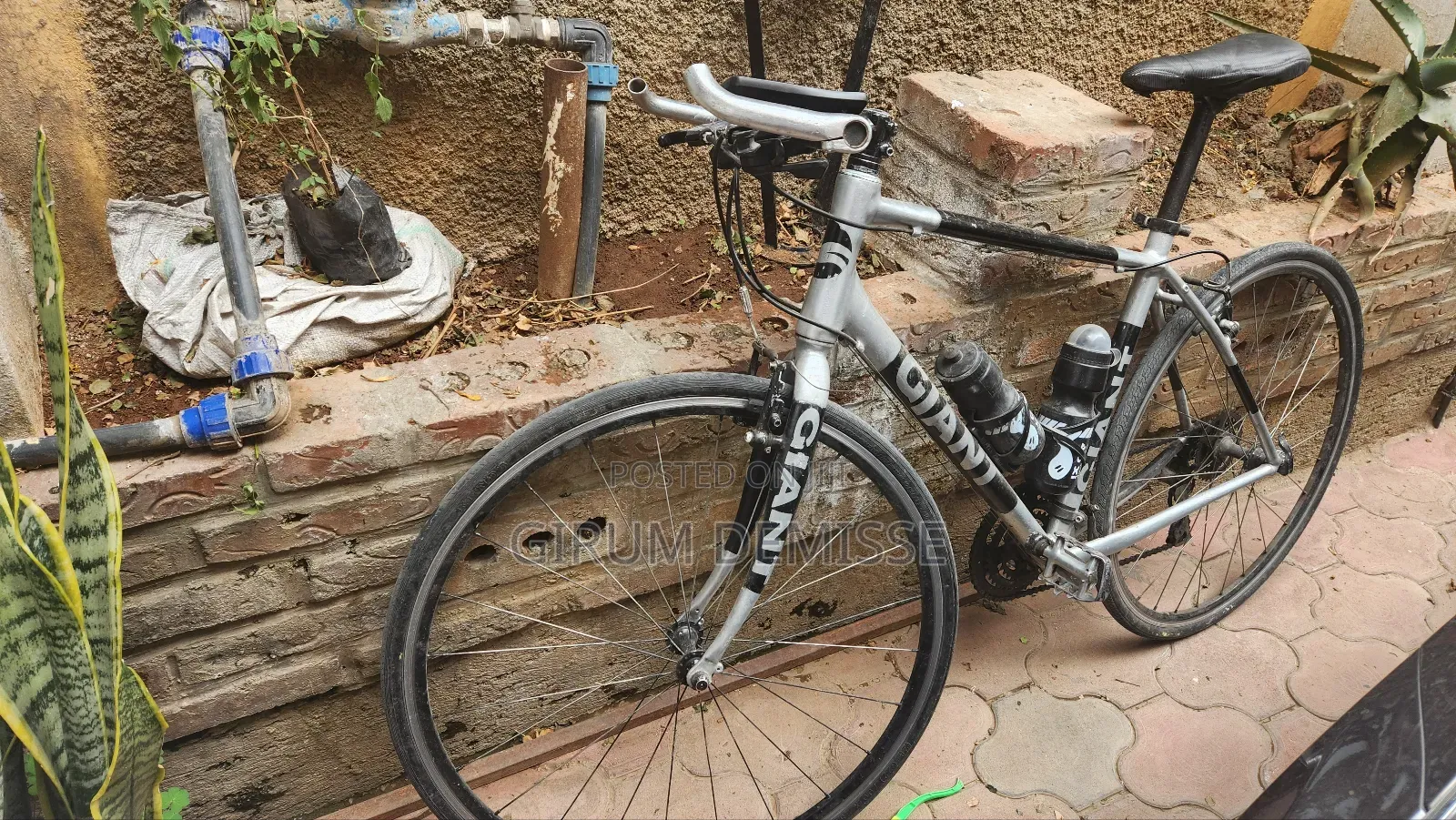 Bicycle Giant From Embassy