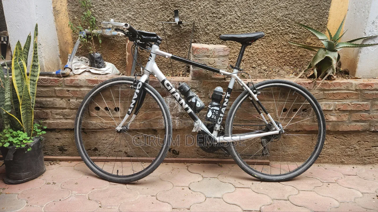 Bicycle Giant From Embassy