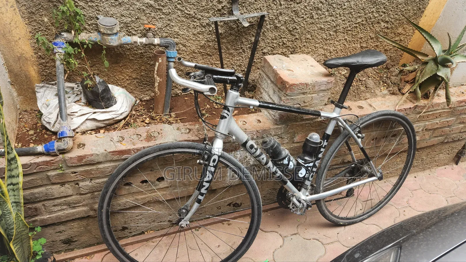 Bicycle Giant From Embassy