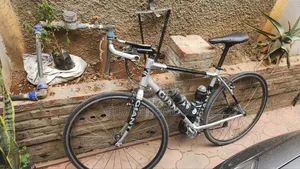 Bicycle Giant From Embassy