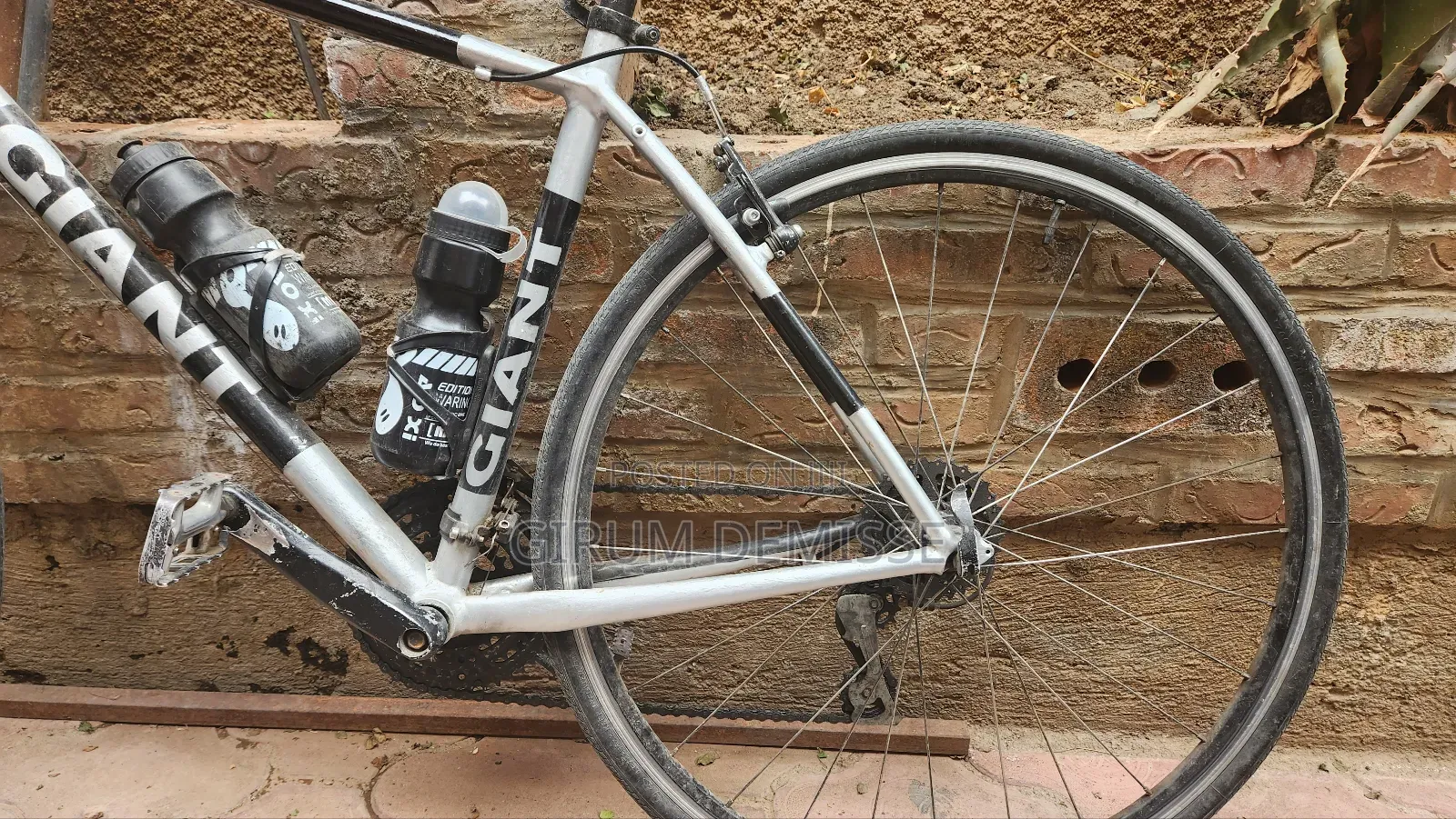 Bicycle Giant From Embassy