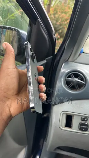 Apple iPhone 13 Pro 256 GB Gray