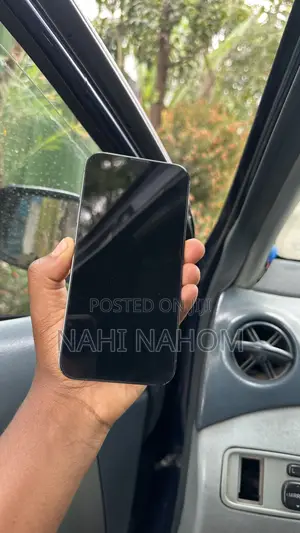 Apple iPhone 13 Pro 256 GB Gray
