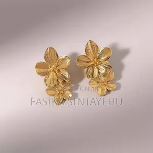 Stainless Steel Earings