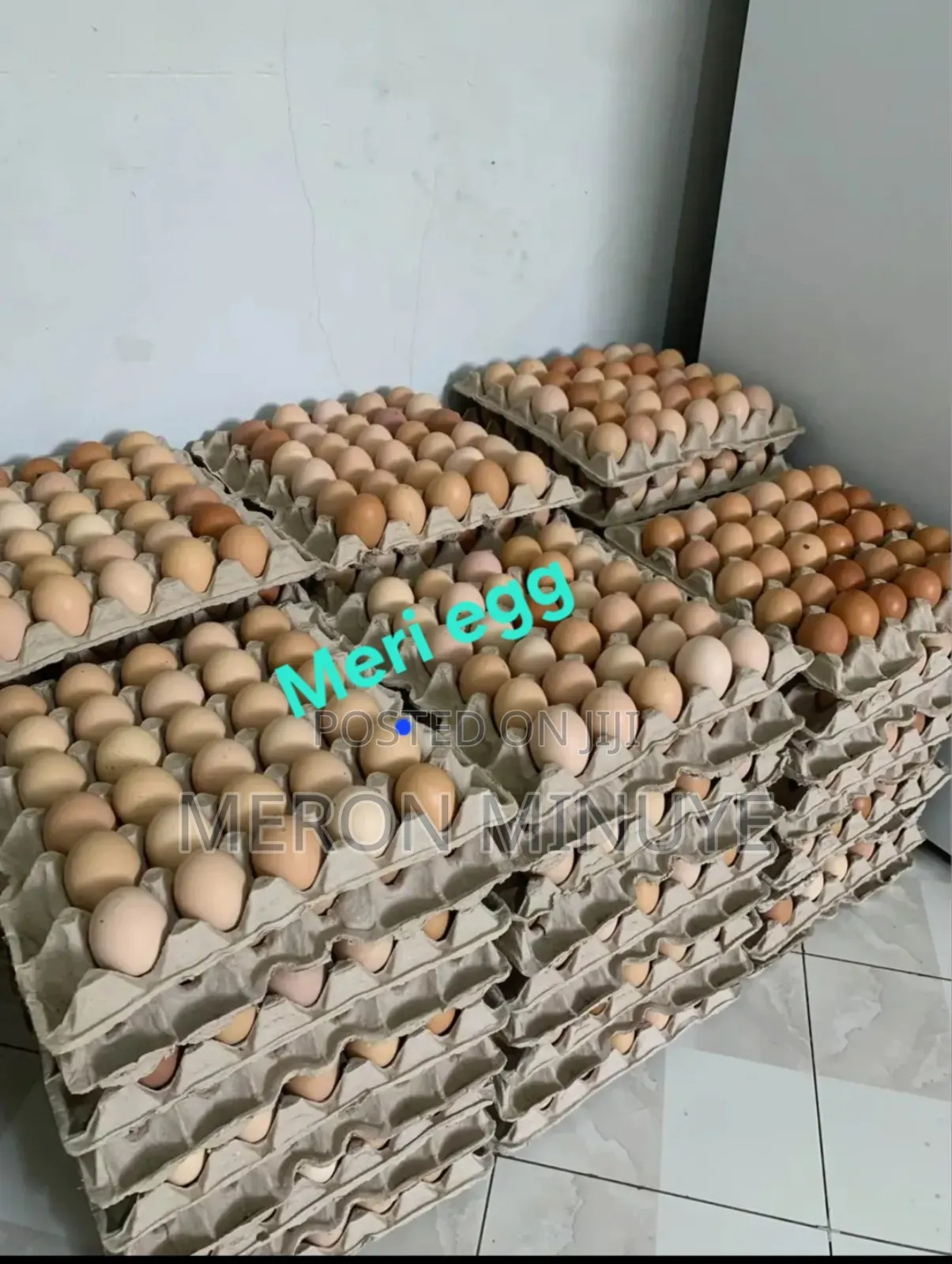 Fresh Eggs