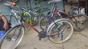 Cripeer Brand New Bicycle