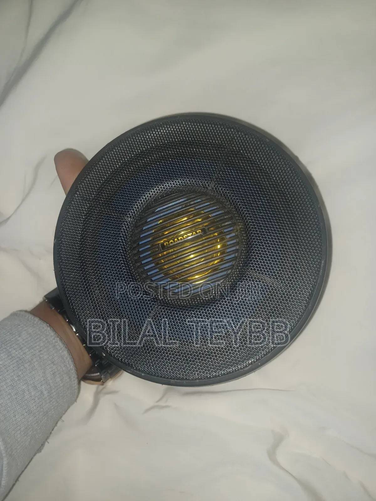 40 W Speaker