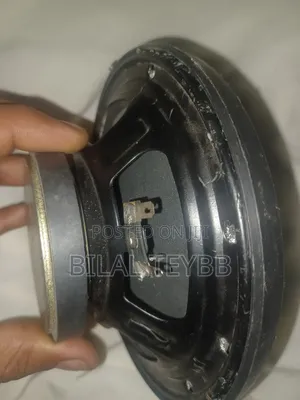 40 W Speaker