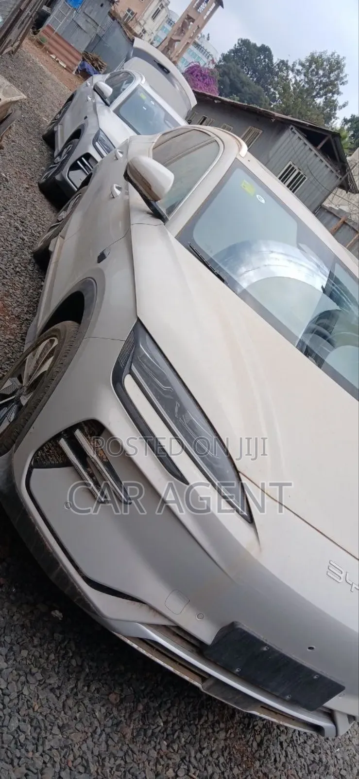 BYD Song Plus 2025 White