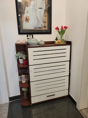 Shoe Rack and Bag Holder