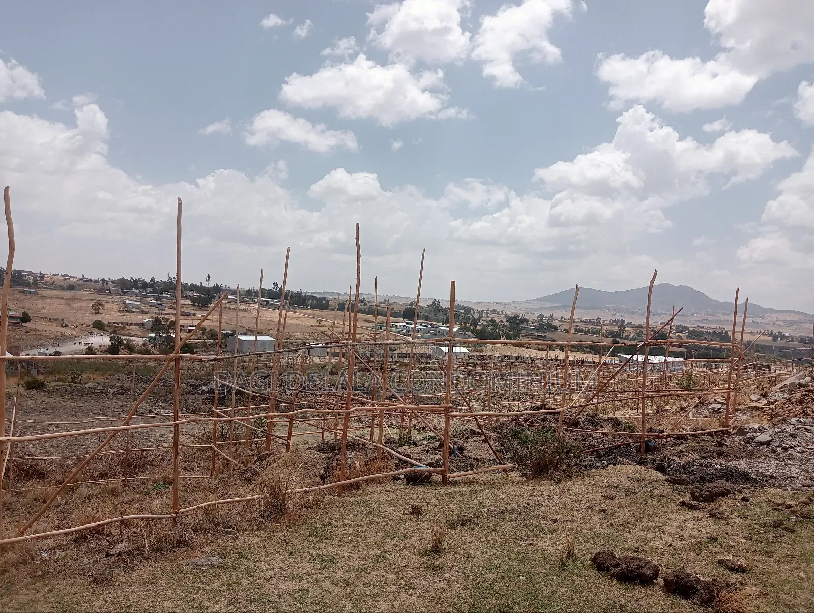 500 ካሬ የልማት (የኮሪደር) ተነሺ የሚሸጥ መሬት