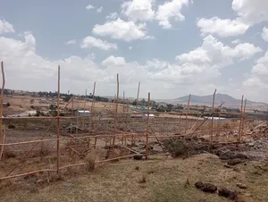 500 ካሬ የልማት (የኮሪደር) ተነሺ የሚሸጥ መሬት