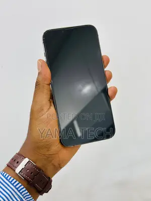 New Apple iPhone 13 Pro Max 128 GB Gray