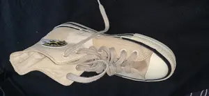 Converse All Star Chuck 70 Plus