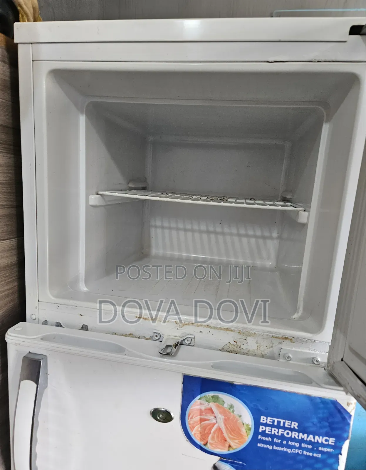 Magic Queen Refrigerator