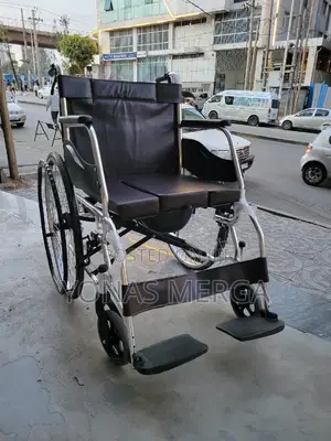 Toilet Wheelchair兼疇capacity: Some Models Have a Load-Bearing