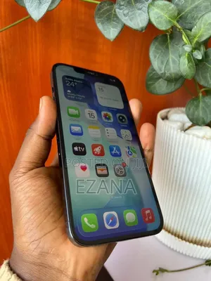 Apple iPhone 12 Pro Max 256 GB Blue